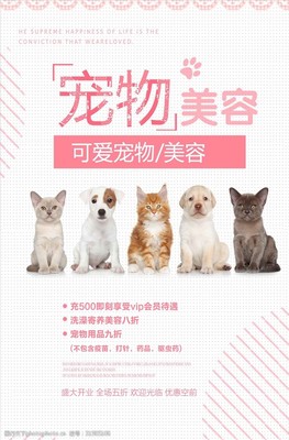 簡約可愛寵物美容海報(bào)