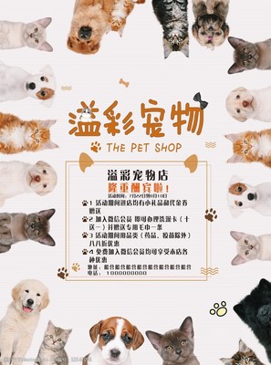 專業(yè)寵物服務(wù)，呵護(hù)愛寵健康與快樂